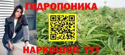 Альфа ПВП Будённовск