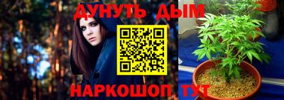 Альфа ПВП Будённовск